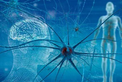 conexiones neuronales