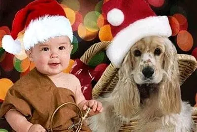 navidad