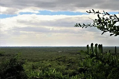 Paisaje yucateco.