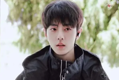 Chinese actor Xiao Zhan