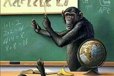 aula jigsaw puzzle