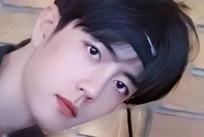 Chinese actor Xiao Zhan