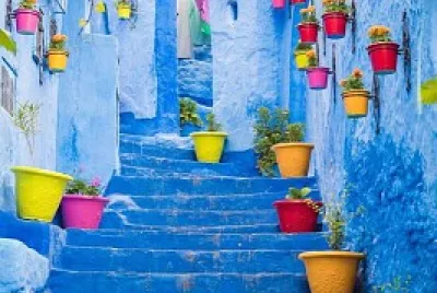 Bright Flower Pots