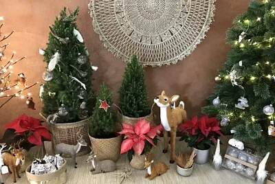 Natal
