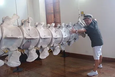 cawboy jigsaw puzzle