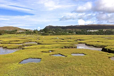 Mulranny Fields