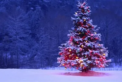 Natal