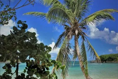 Madinina