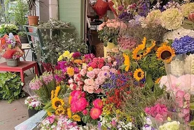 flores