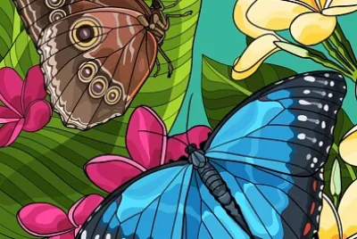 MARIPOSA