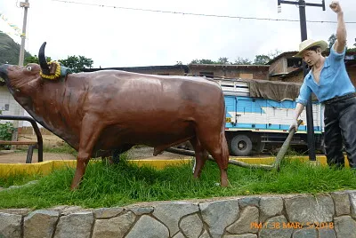 Imagen