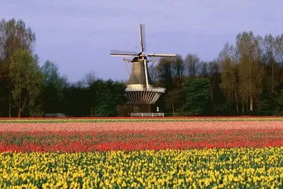 jigsaw puzzle