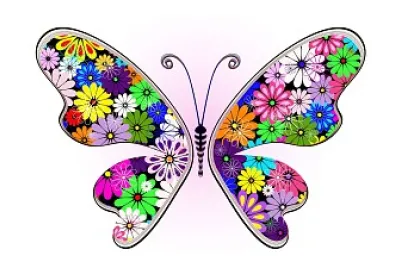 Beautiful Butterfly jigsaw puzzle