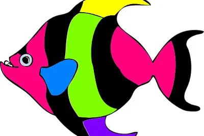 Angelfish