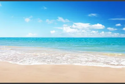 tamar jigsaw puzzle