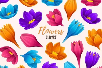 Flowers2