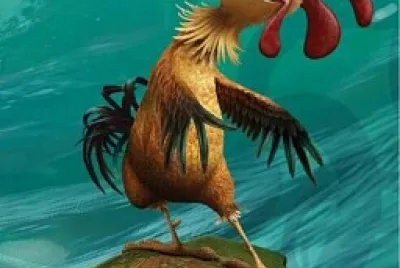 jÃ£o frango