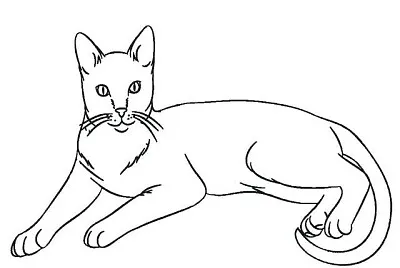 פאזל של gatto