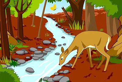 Deer in the Forest