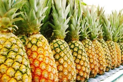 פאזל של piÃ±a