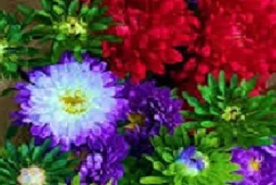 OK jigsaw puzzle