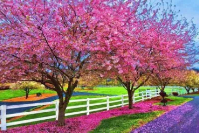 פאזל של paisagens