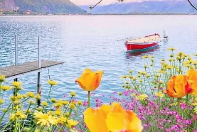 paisaje jigsaw puzzle