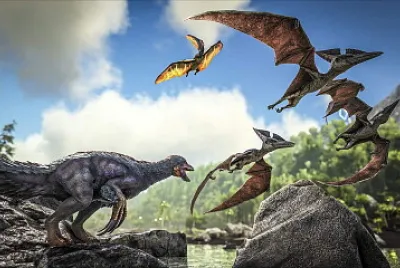 Ark