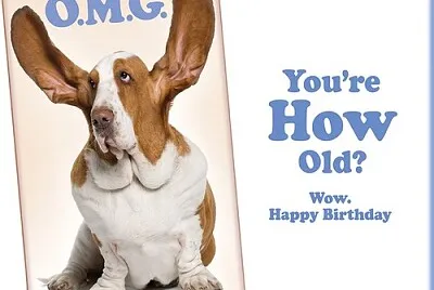 OMG-Wow-Funny-Dog