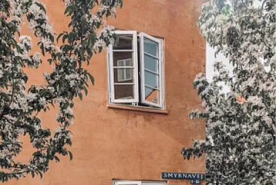 muro