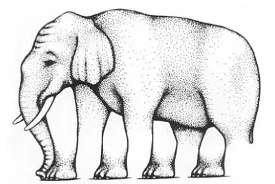 Shephard Elephant illusion