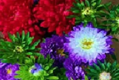 OK jigsaw puzzle
