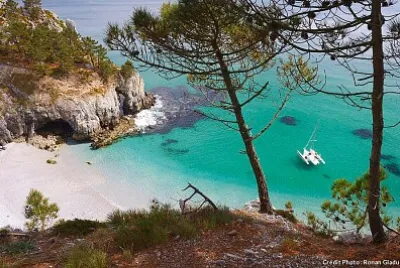 ILE jigsaw puzzle