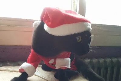 Â¡Felices fiestas!