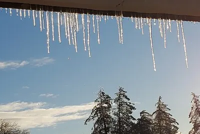 icicles