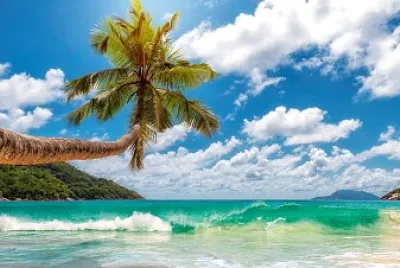 פאזל של playa Anse - Seyshelles