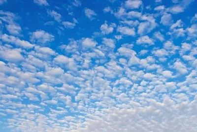 ×¢× × ×™×