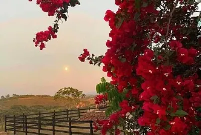 imagem jigsaw puzzle