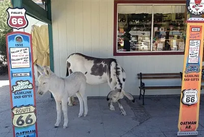 Oatman jigsaw puzzle