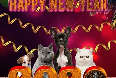 Happy New Year