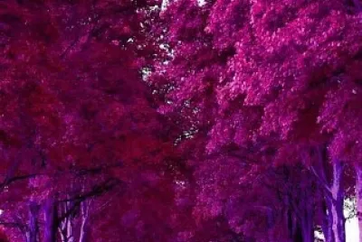 imagem jigsaw puzzle