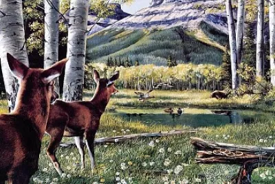 floresta jigsaw puzzle