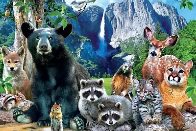 YOSEMITE NATIONAL PARK jigsaw puzzle