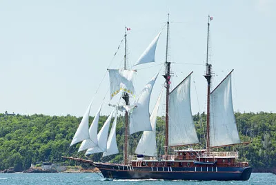 Tall Ships , Halifax 02