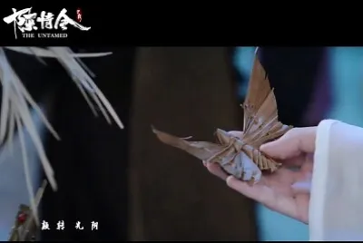 CHINA 2019 The Untamed