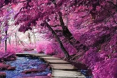 imagem jigsaw puzzle