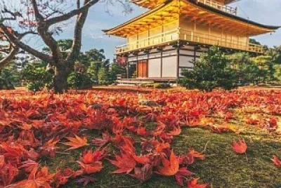 imagem jigsaw puzzle