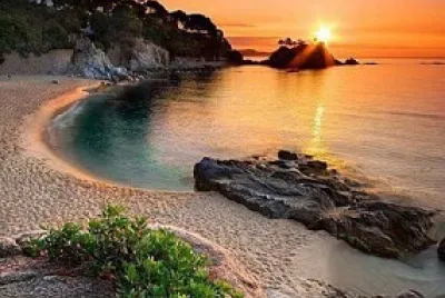 Praia selvagem e tropical jigsaw puzzle