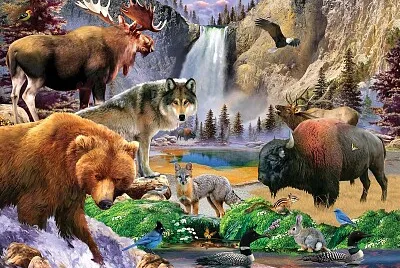 YELLOWSTONE NATIONAL PARK jigsaw puzzle