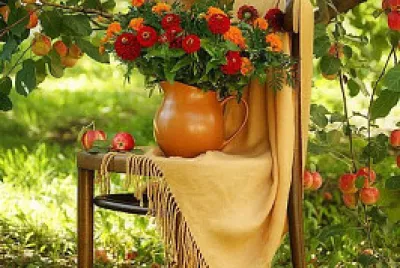 jardin